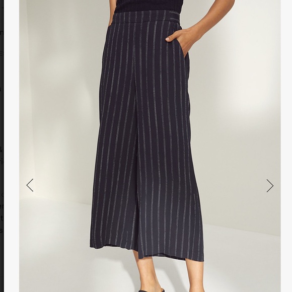 ARITZIA | Wilfred Faun Navy Pinstripe Trousers - Picture 8 of 8